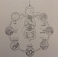 ７つのダートゥ