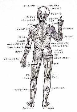 マルマポイント資料